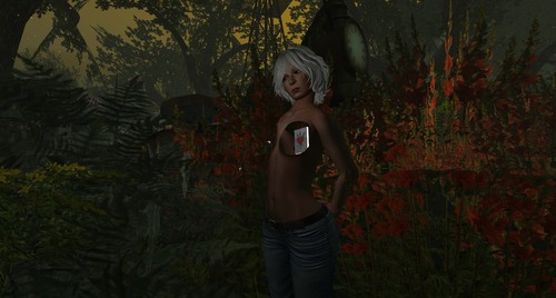 Web 5899c9e6b015405445000001