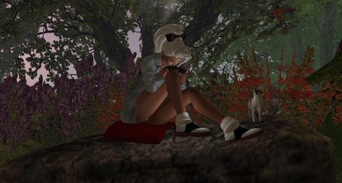 Web 59b8b316d9859c15d6000001