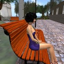 Thumb 56ca59d276408b45df000001