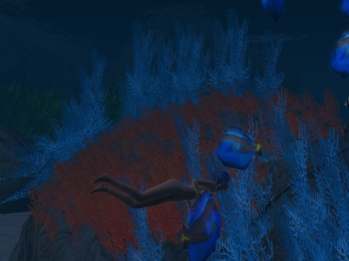 Web 5764b6b0b015402143000001