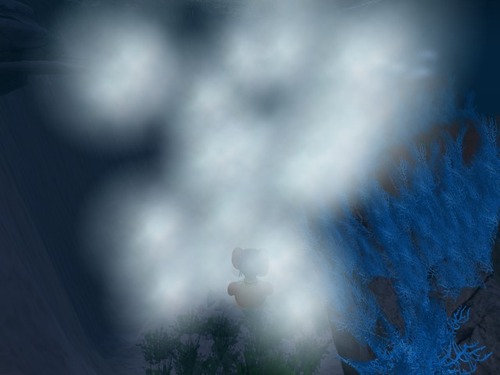 Web 5764b8a2e85cda53f6000001