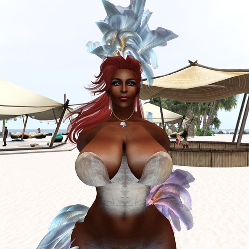 Web 538c40aba73e210e0e000001