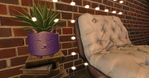 Web 647ee65a64d6270d44d36b65