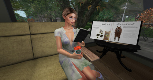 Web 64f0879150556f0cb7463d41