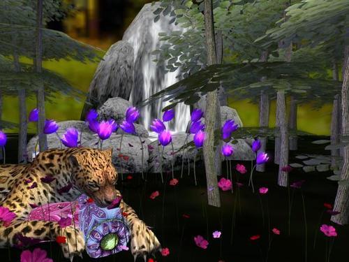 Web 608e0ef9e832df29b3b8e77b