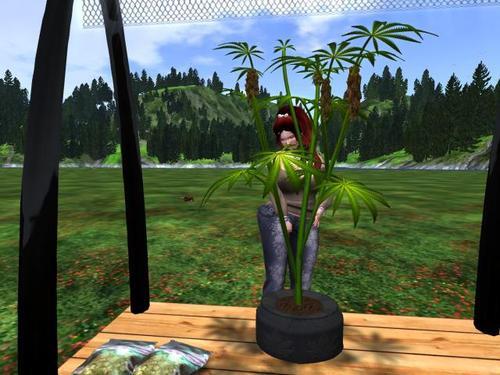 Web 60dc5d993119c0751e81b568