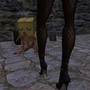 Thumb 547cbc2ea73e211600000001