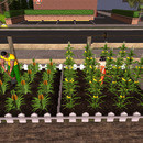 Thumb 639f688b59ecd141b3954008