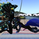 Thumb 57b2ce21b015400af6000001