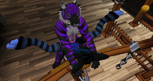 Web 57b2eaebb01540105b000001