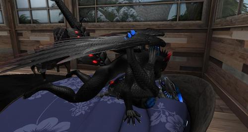 Web 5e45ddf373ed1757516b463d