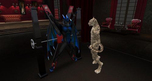 Web 5e7276a3d9859c0387962feb