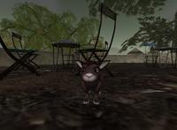 Small 59d2757ed9859c290f000001