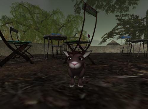 Web 59d2757ed9859c290f000001