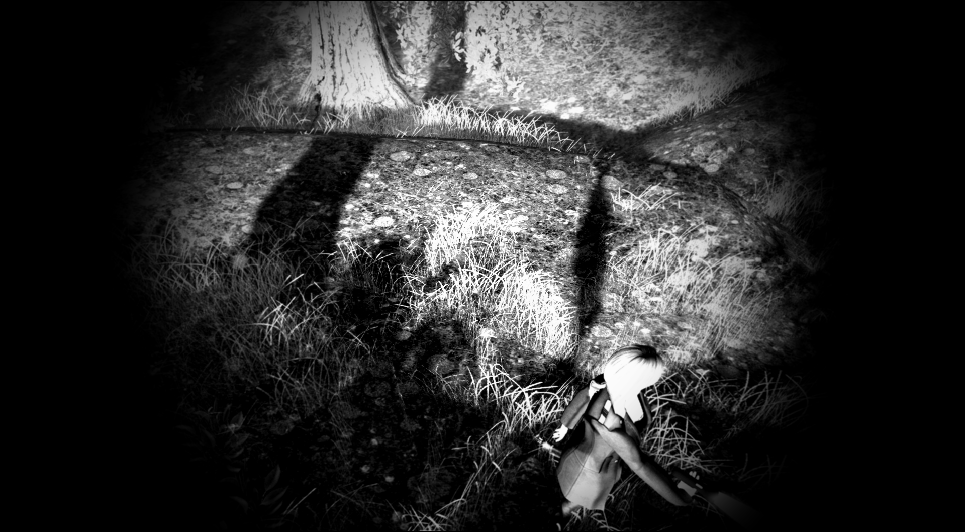 Original 5651c8c29934e06a1f000001