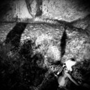 Thumb 5651c8c29934e06a1f000001