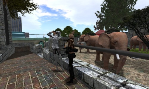 Web 50d221b3cc5d875006000001