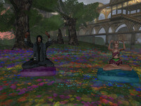 Small 6688b6ed20ed665c09c9928f