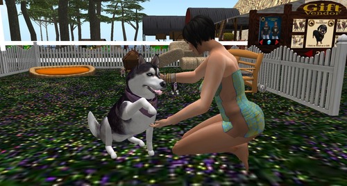 Web 511eb10e2a6eb551b9000001