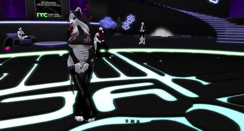 Web 5124cf43327937556a000001