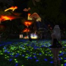 Thumb 5439681d128cc91bfa000001