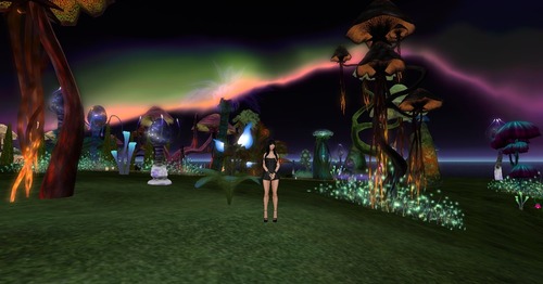 Web 53d8d472a73e216fe4000001