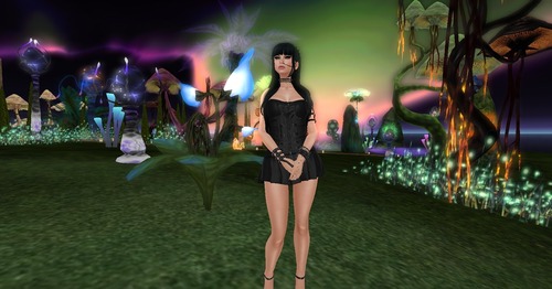 Web 53d8d486a73e2170b7000001