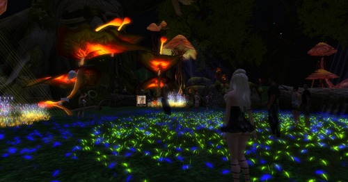 Web 5439681d128cc91bfa000001