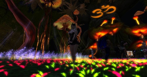 Web 54396e8ea73e2170ca000001