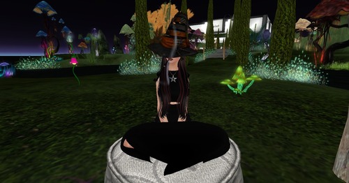 Web 545139258da57202ee000001