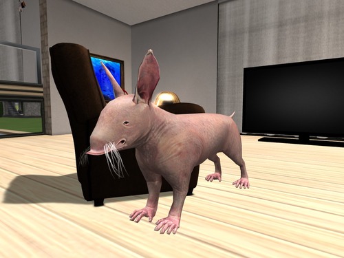 Web 56a4f0089934e01a20000001