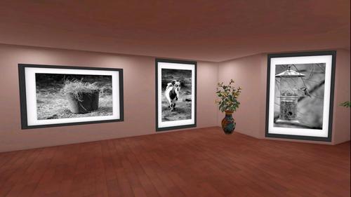 Web 5f306c50d9859c20c07ce5a6