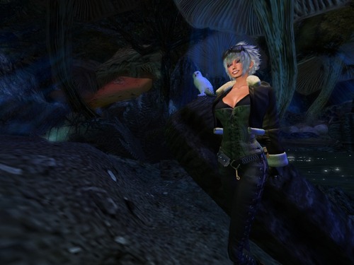 Web 5055e9dbd1af2610d8000001