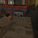 Thumb 5f35442cd9859c3cb73bdb74