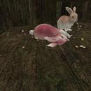 Thumb 5fbfbde9a0990e10d5096c44