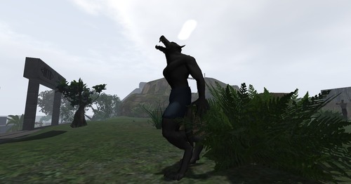 Web 4ed9e1f0e5b8b67246000001