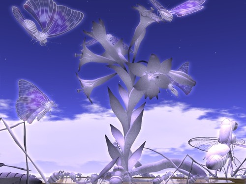 Web 4f1cb2eb0ba6ec1010000001