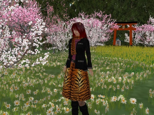 Web 4f2b3ca38c34994cc6000001