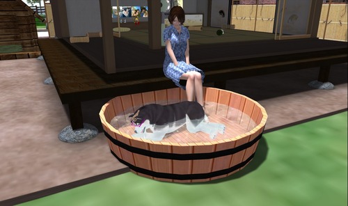 Web 51e012707a345c57bb000001