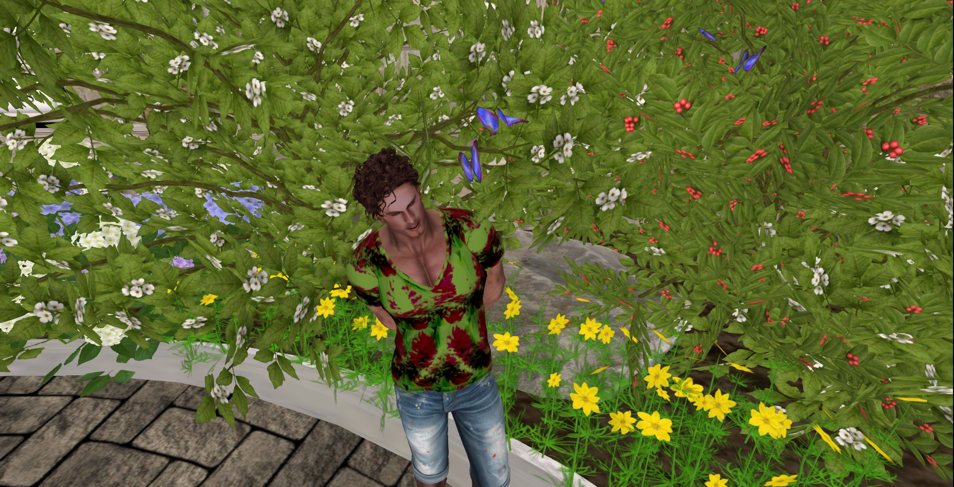 Original 5c918c1c289dd23053000001