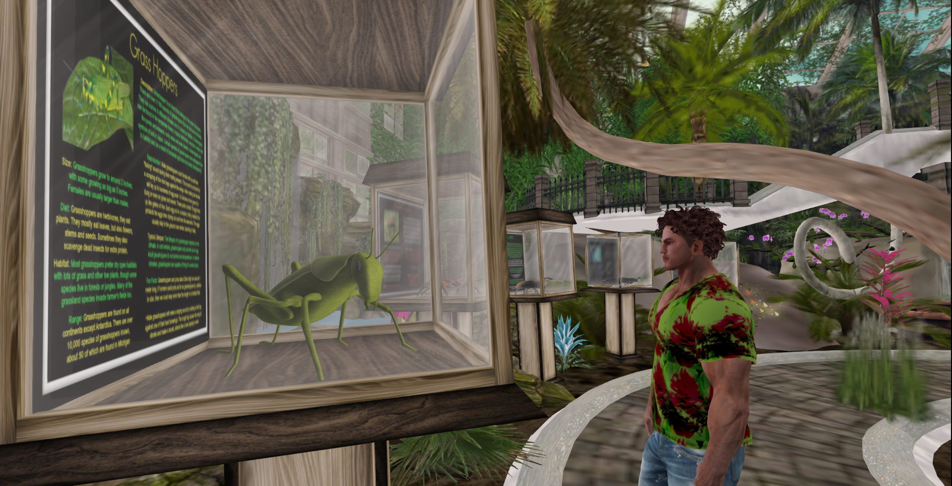 Original 5c918cce73ed173cf8000001