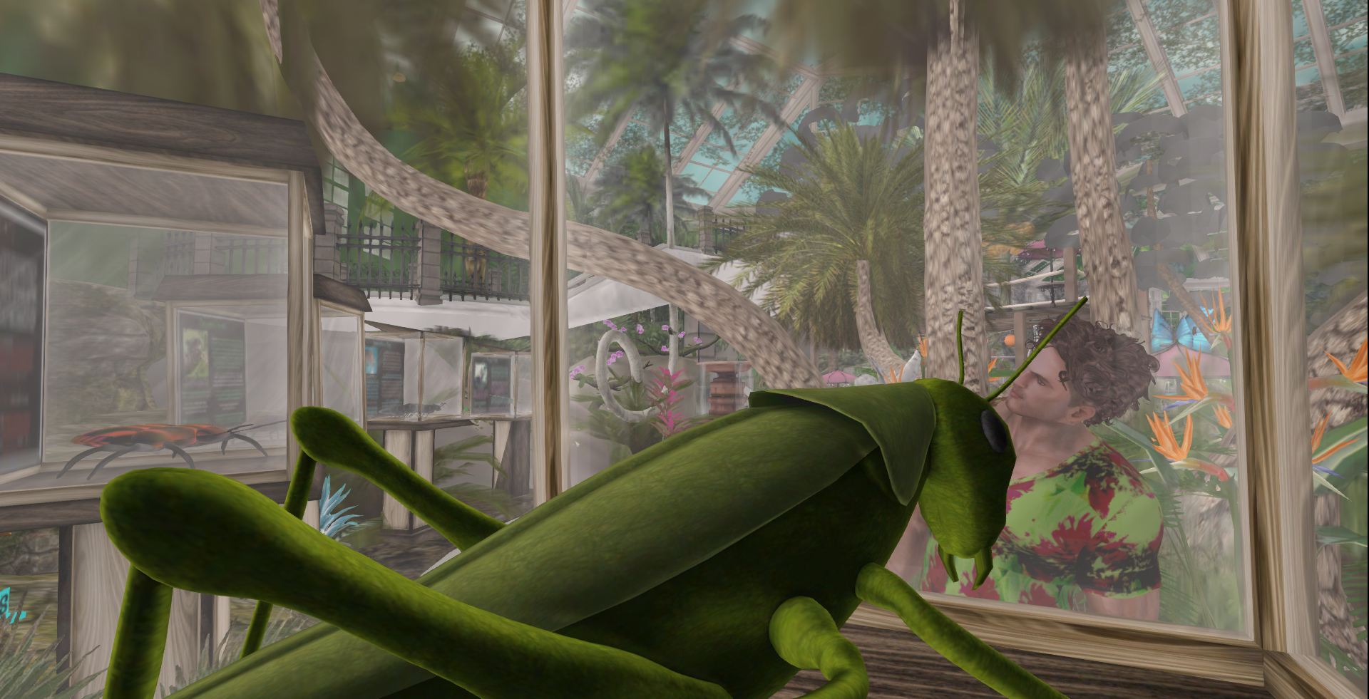 Original 5c918d28d774f82846000001