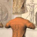 Thumb 5b2d02b4d9859c7d67000001