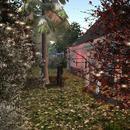 Thumb 61b63b133509d7630ace5b1f