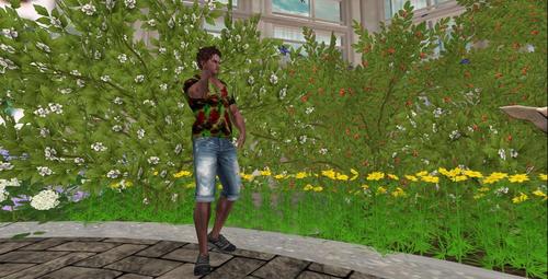 Web 5c918b26d9859c30f7000001