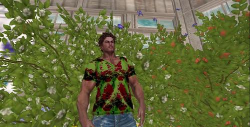 Web 5c918b79289dd22c5b000001