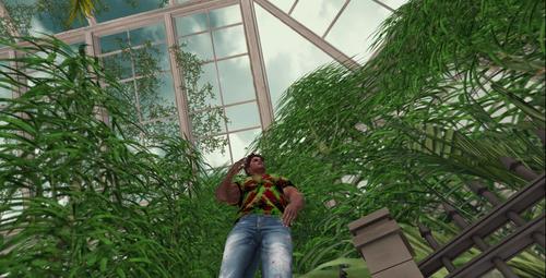 Web 5c918e4cd774f82ea4000001