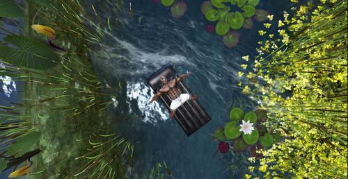 Web 5d706697289dd27de7000001