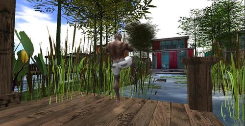 Web 5d7068de289dd213a3000001