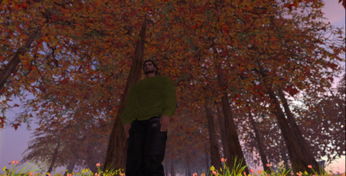 Web 63572fd83bd67d2b9563bf06